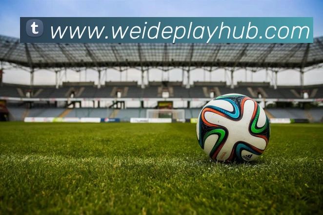 App Interface Preview