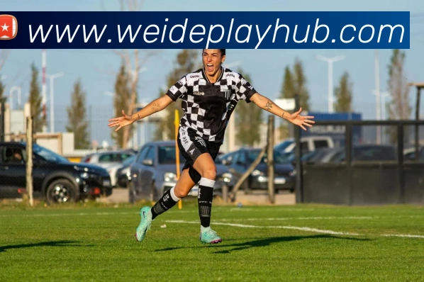 韦德娱乐APP 封面图